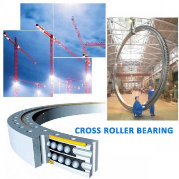 CRBF108ATUU crossed roller bearing with mounting holes